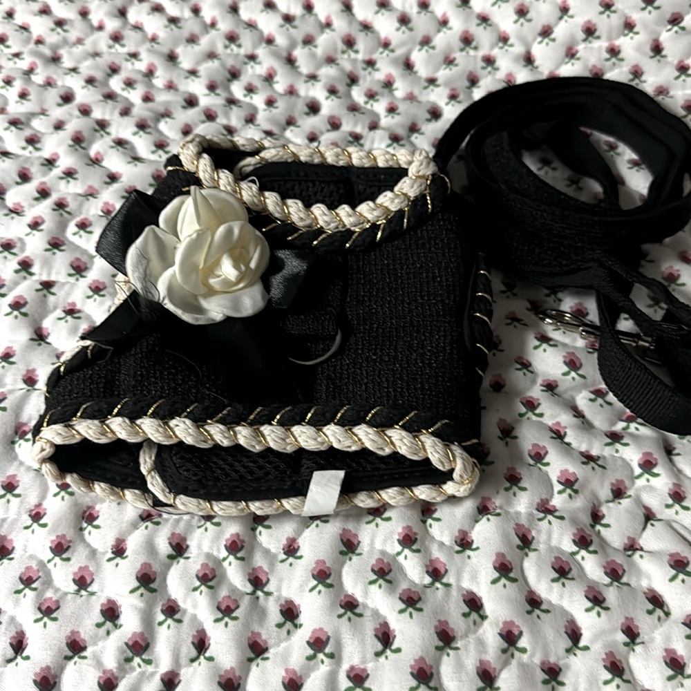 Harness and leash set